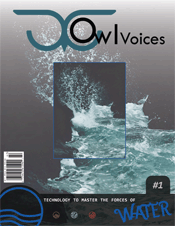 Owl Voices
